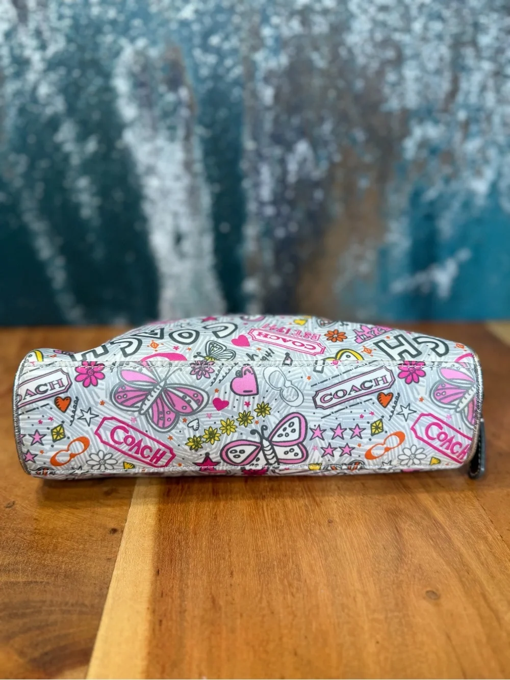 Coach Y2K 2010 Rare Highly Collectible Poppy Graffiti Butterfly Cosmetic Case
